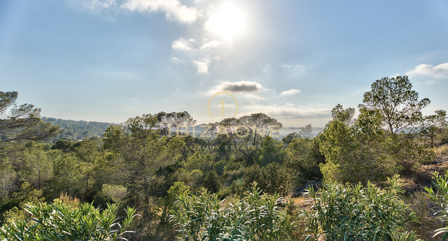 Fotos de la propiedad