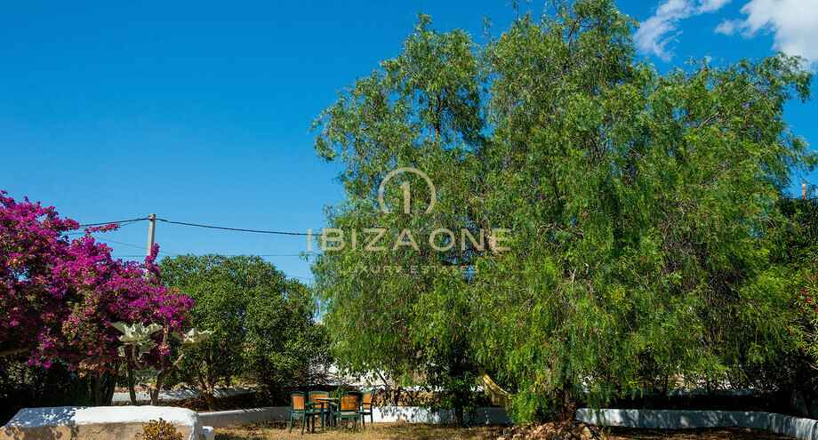 Photos of the property