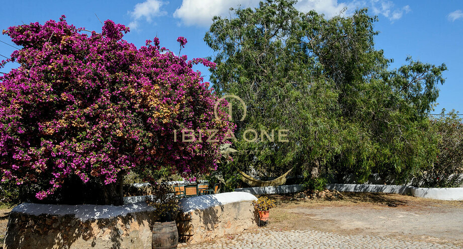 Photos of the property