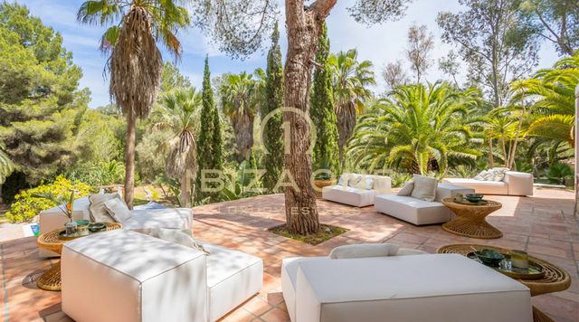 Geweldige moderne luxe villa met gastenverblijf omgeven door natuur te koop, Ibiza - luxe huizen te huur, Ibiza