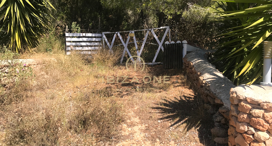 Photos of the property