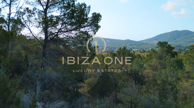 Large luxury plot of land with extensive land, building restrictions and sea views for sale, Ibiza - a rare opportunity in a privileged location for sale, Ibiza