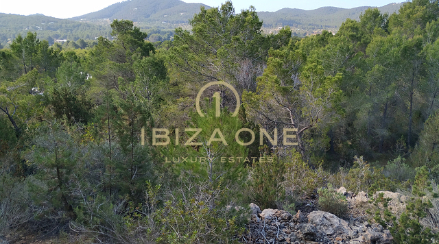 Gran terreno de lujo con amplio terreno, restricciones de construcción y vistas al mar en venta, Ibiza - una oportunidad única en una ubicación privilegiada en venta, Ibiza