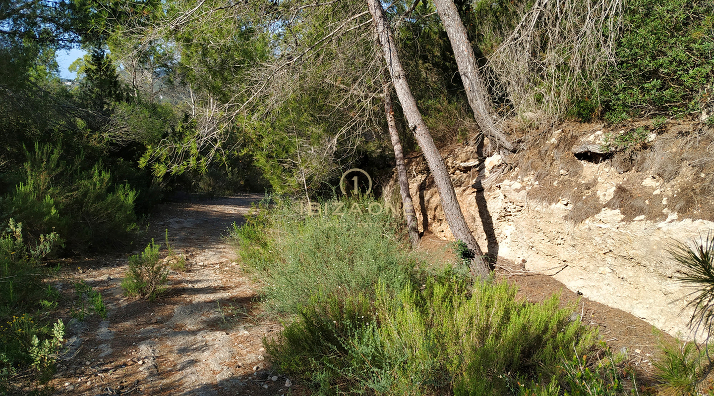 Gran terreno de lujo con amplio terreno, restricciones de construcción y vistas al mar en venta, Ibiza - una oportunidad única en una ubicación privilegiada en venta, Ibiza