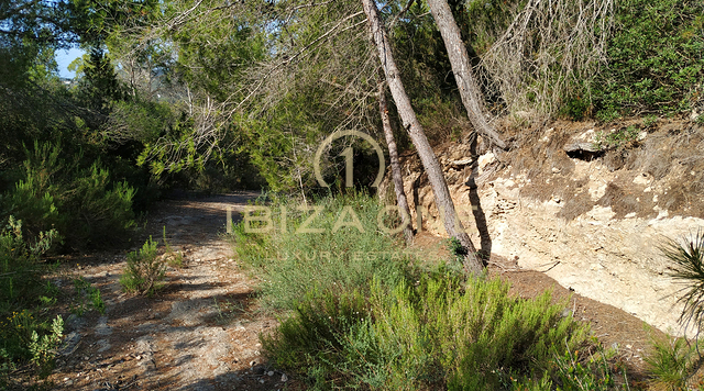 Grand terrain de luxe avec vaste terrain, restrictions de construction et vue sur la mer à vendre, Ibiza - une opportunité rare dans un emplacement privilégié à vendre, Ibiza