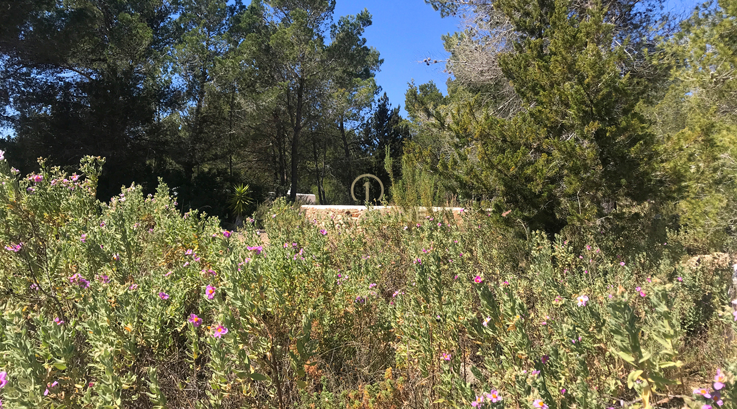 Large luxury plot of land with extensive land, building restrictions and sea views for sale, Ibiza - a rare opportunity in a privileged location for sale, Ibiza