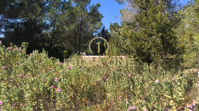 Gran terreno de lujo con amplio terreno, restricciones de construcción y vistas al mar en venta, Ibiza - una oportunidad única en una ubicación privilegiada en venta, Ibiza