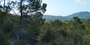 Foto dell'oggetto