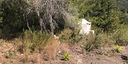 Photos of the property
