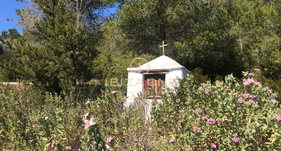 Photos of the property