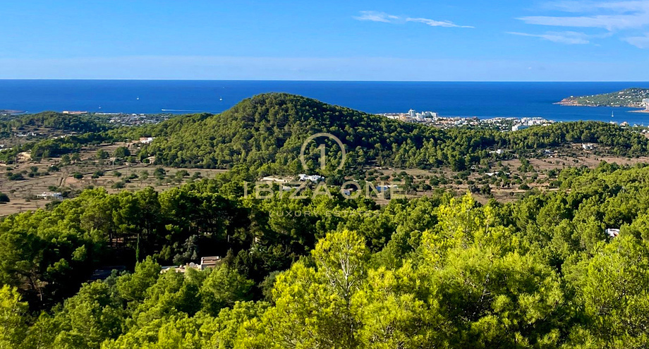 Foto dell'oggetto
