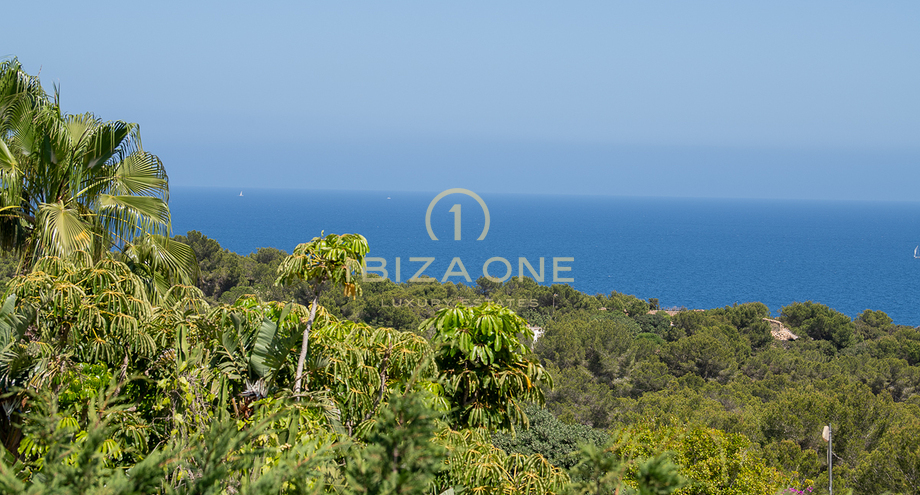 Fotos de la propiedad