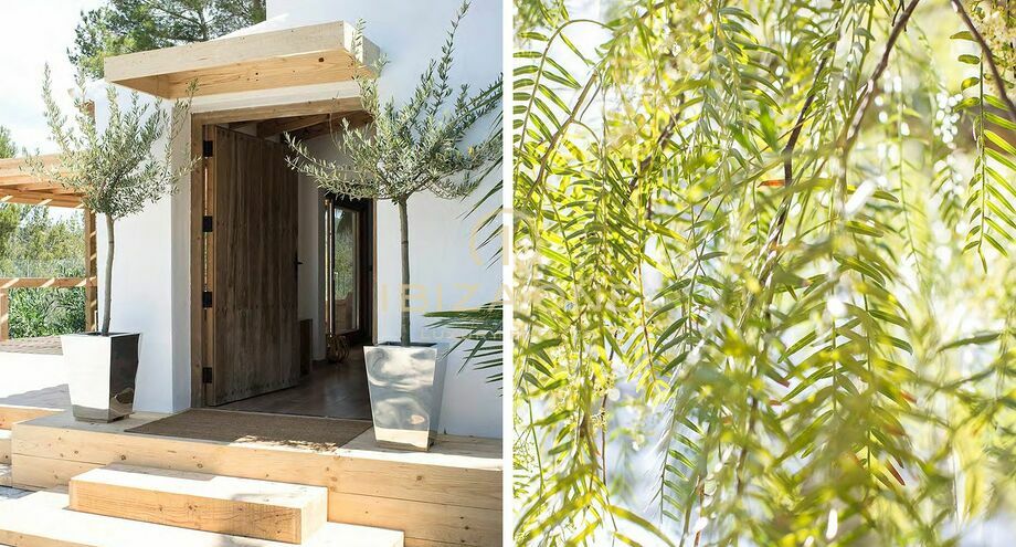 Foto van het vastgoed