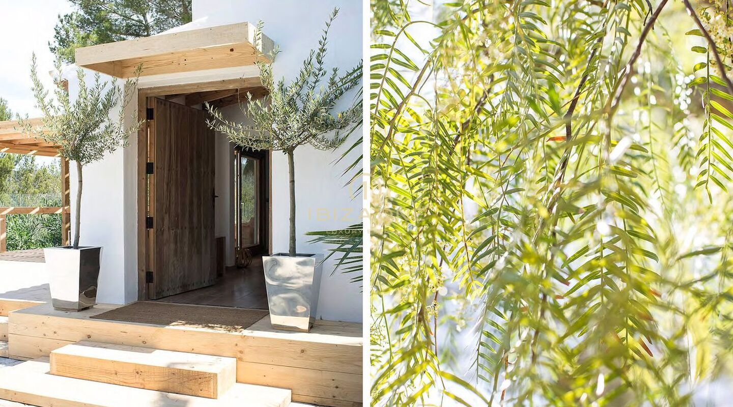 Beautiful luxury property just a few minutes from the beaches of Cala Moli, Cala Tarida and Cala Comte for sale, Ibiza - Beautiful luxury property just a few minutes from the beaches of Cala Moli, Cala Tarida and Cala Comte for rent, Ibiza