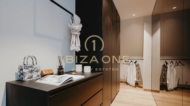 Appartement penthouse de luxe entièrement équipé avec un appartement d'invités attenant et une terrasse sur le toit à couper le souffle avec vue sur l'église du Golgotha et la tour de télévision à Berlin à vendre, Allemagne