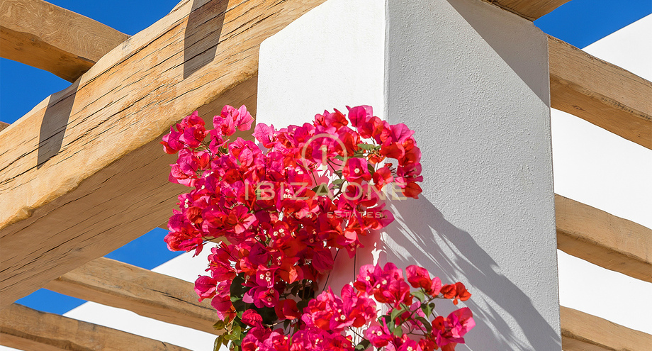 صور العرض