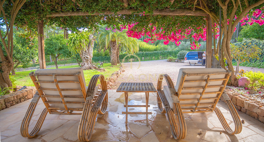 Photos of the property