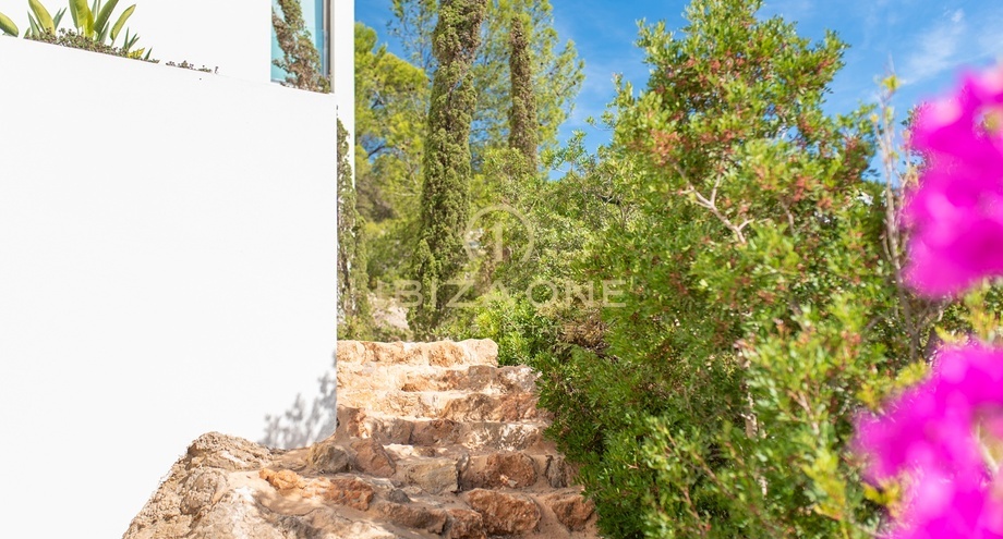 Photos of the property