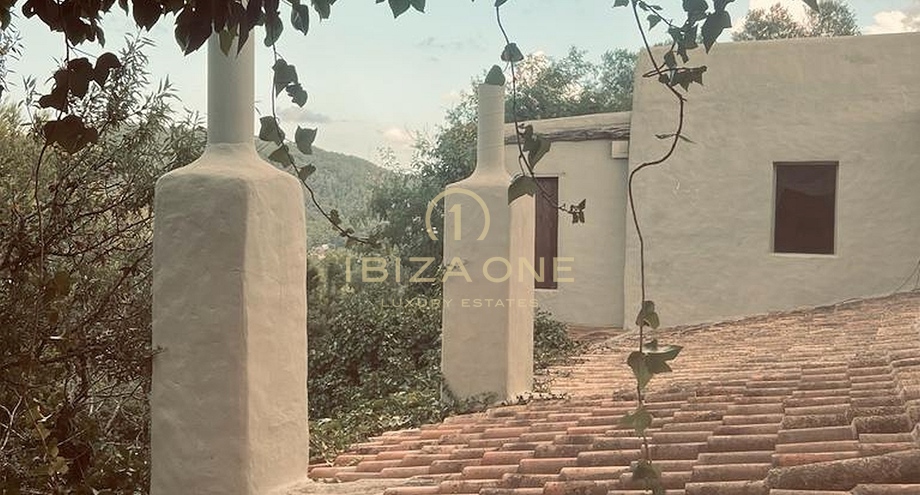 Photo de l'objet