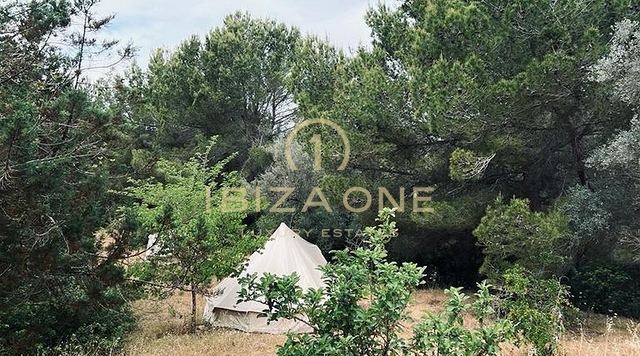Photos of the property