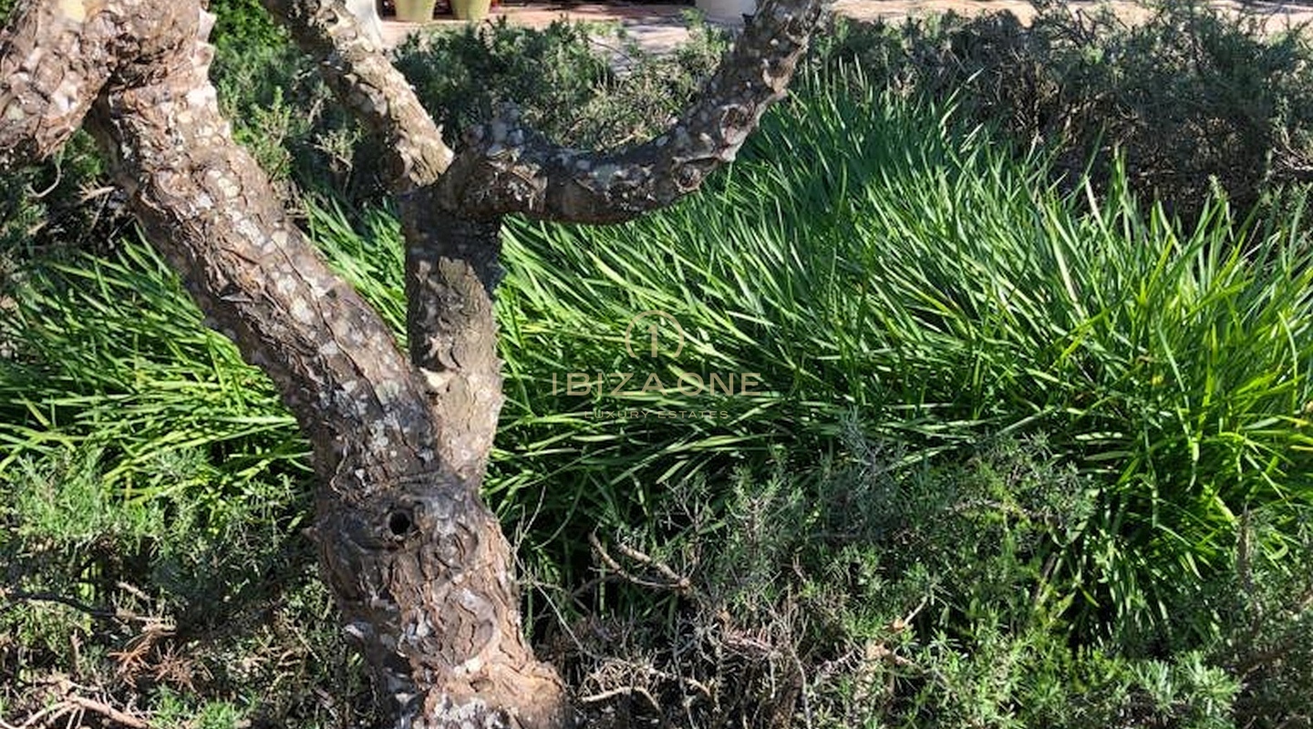 Ferme de luxe originale dans un endroit idyllique à vendre, Ibiza