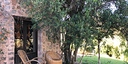 صور العرض