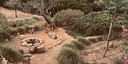 صور العرض