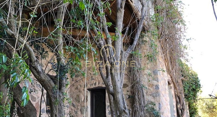 Photo de l'objet