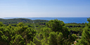 Foto dell'oggetto