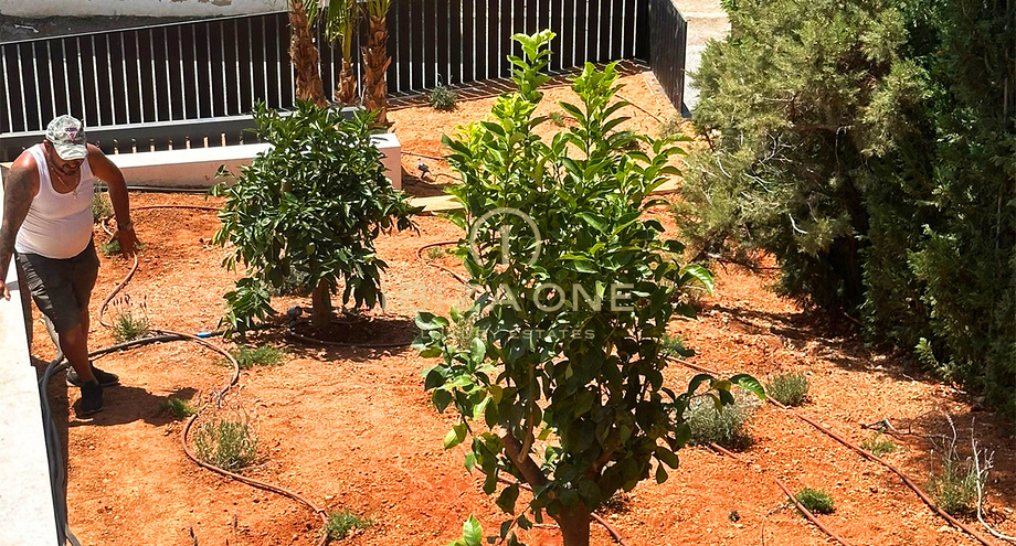 Photos of the property