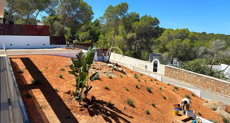 Photos of the property