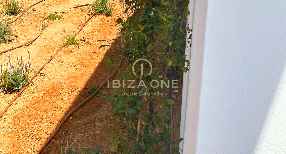 Photos of the property