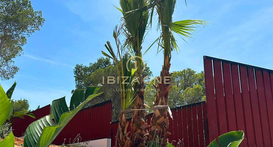 Photos of the property