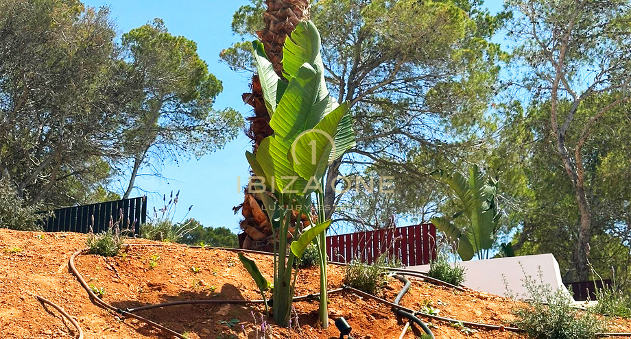Foto des Objektes