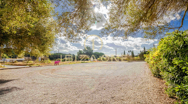 Finca enchanteresse et spacieuse des années 1900 à Santa Gertrudis à vendre, Ibiza
