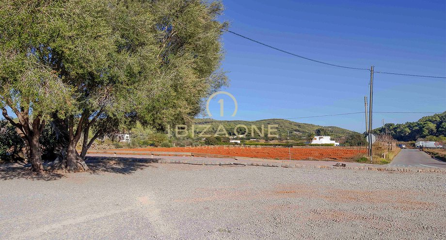 Photos of the property