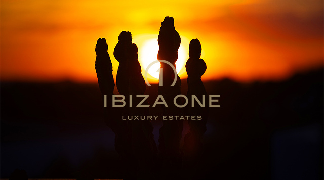 Luxury Villa with unforgetable sunset view across the sea for rent, Ibiza