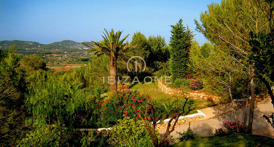 صور العرض