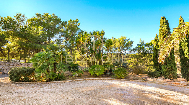 Photos of the property