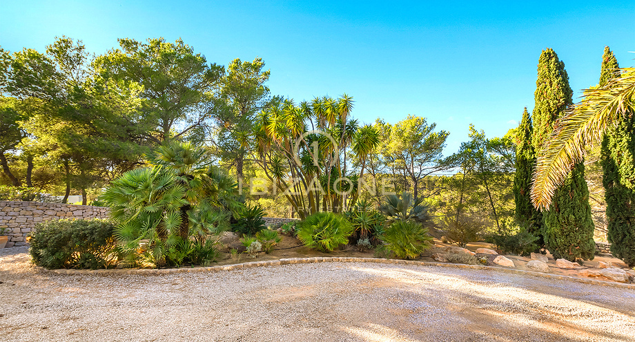 Photos of the property