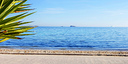 Foto dell'oggetto