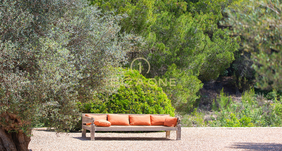 صور العرض