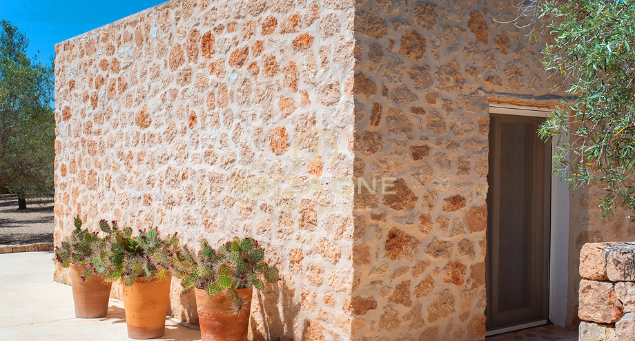 Photos of the property