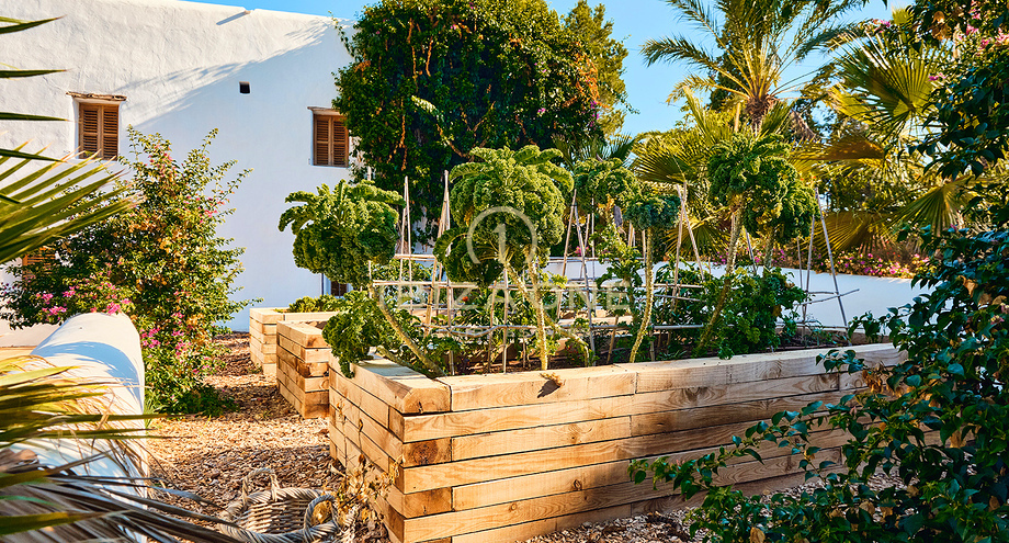 Fotos de la propiedad