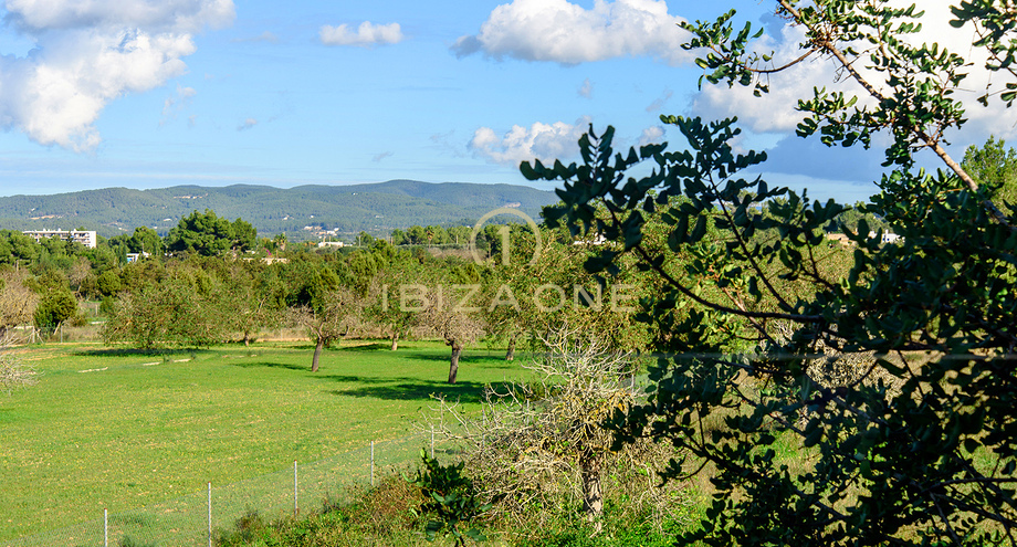 Foto dell'oggetto