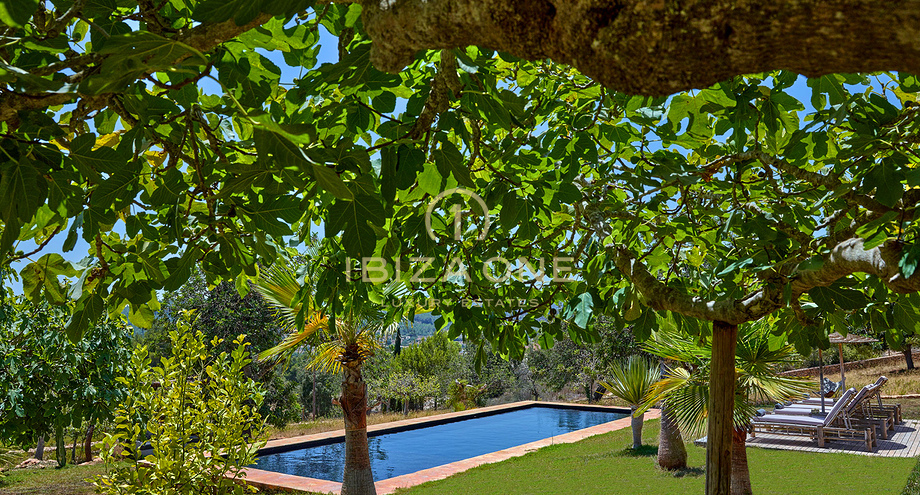 Foto van het vastgoed