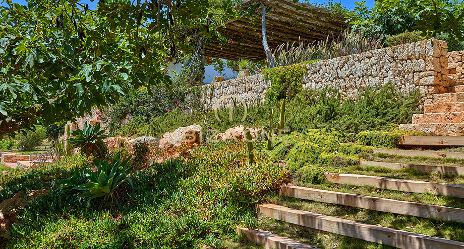 Foto van het vastgoed