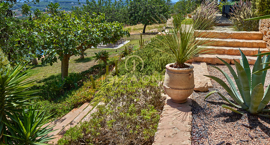 Fotos de la propiedad