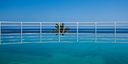 صور العرض