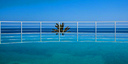 Foto dell'oggetto